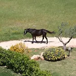 Casa de Férias Terra Sessana E Trullo Con Piscina Privata