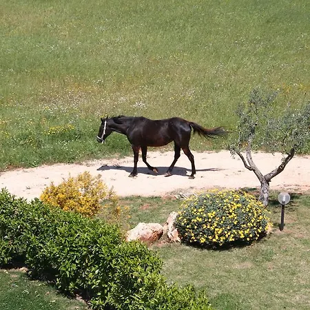 度假居 Terra Sessana E Trullo Con Piscina Privata